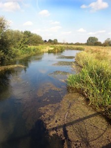 Driffield Beck