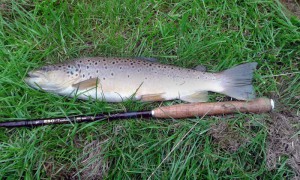 River Granta trout - John Reynolds